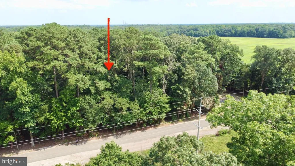 Additional image 6 of Lot 1 Mount Joy Road, Millsboro, DE 19966