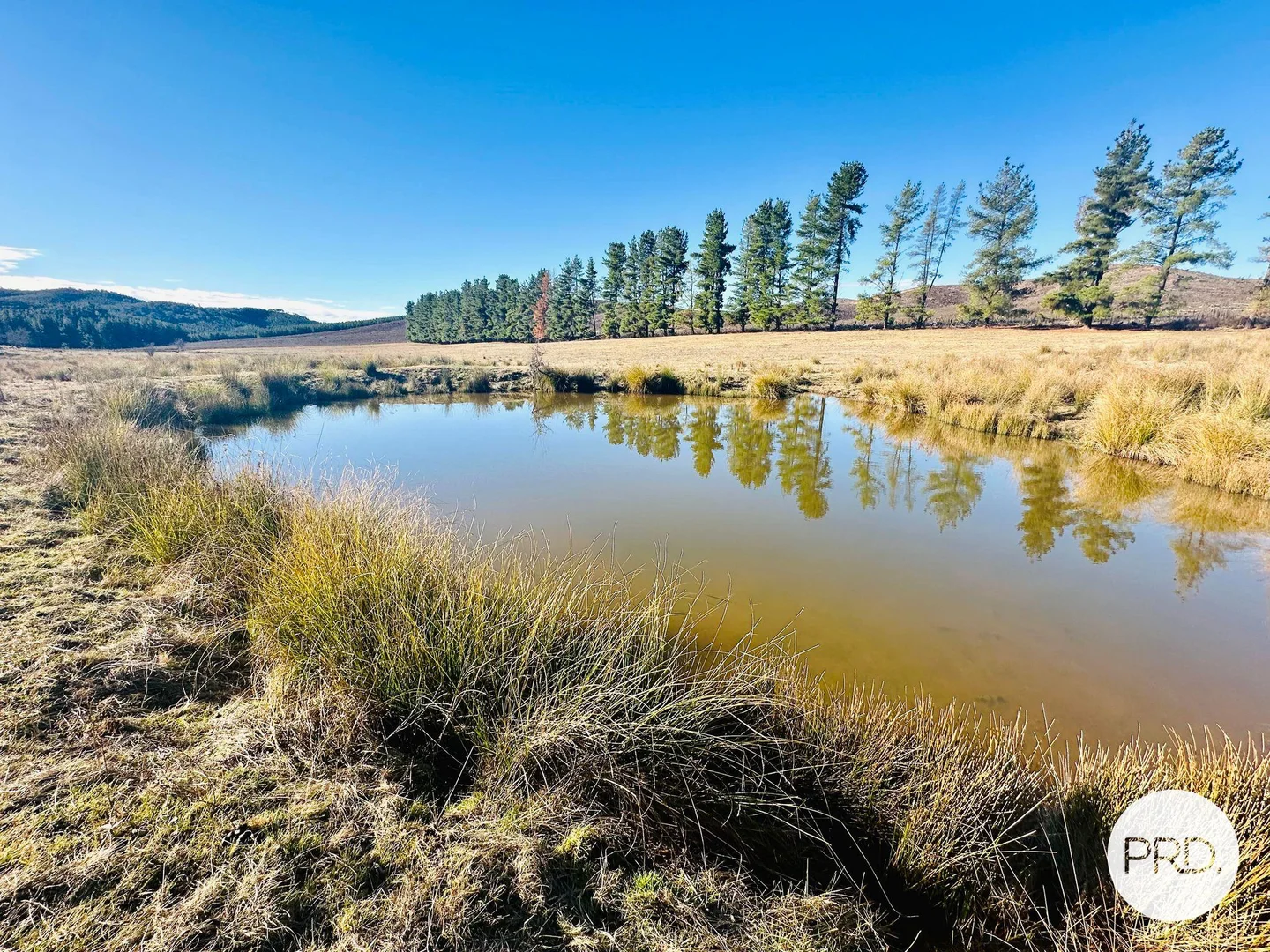 Additional image 21 of 233 Logans Road, Tumbarumba NSW 2653