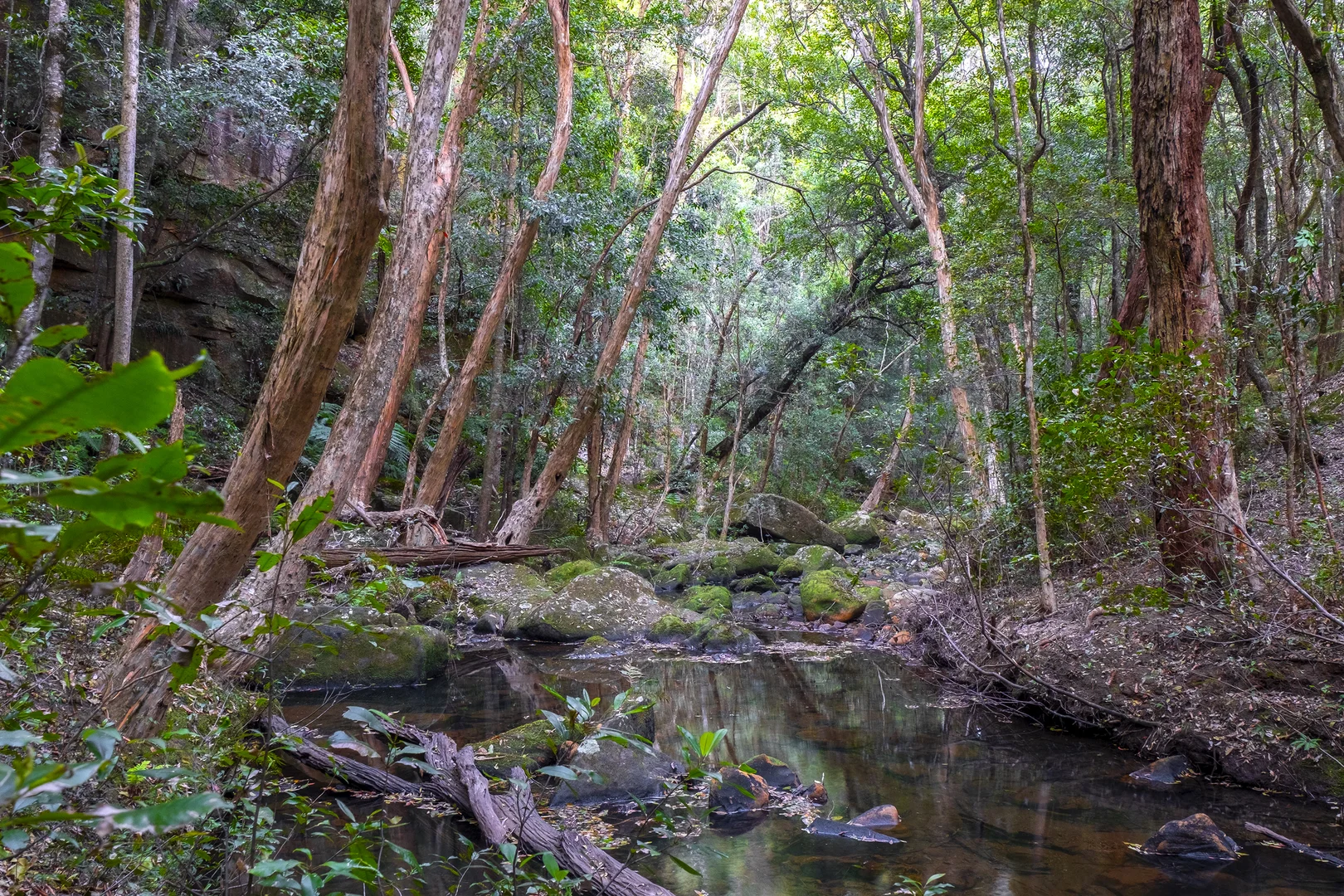 Additional image 12 of 66 Baileys Lane, Kurrajong Hills NSW 2758