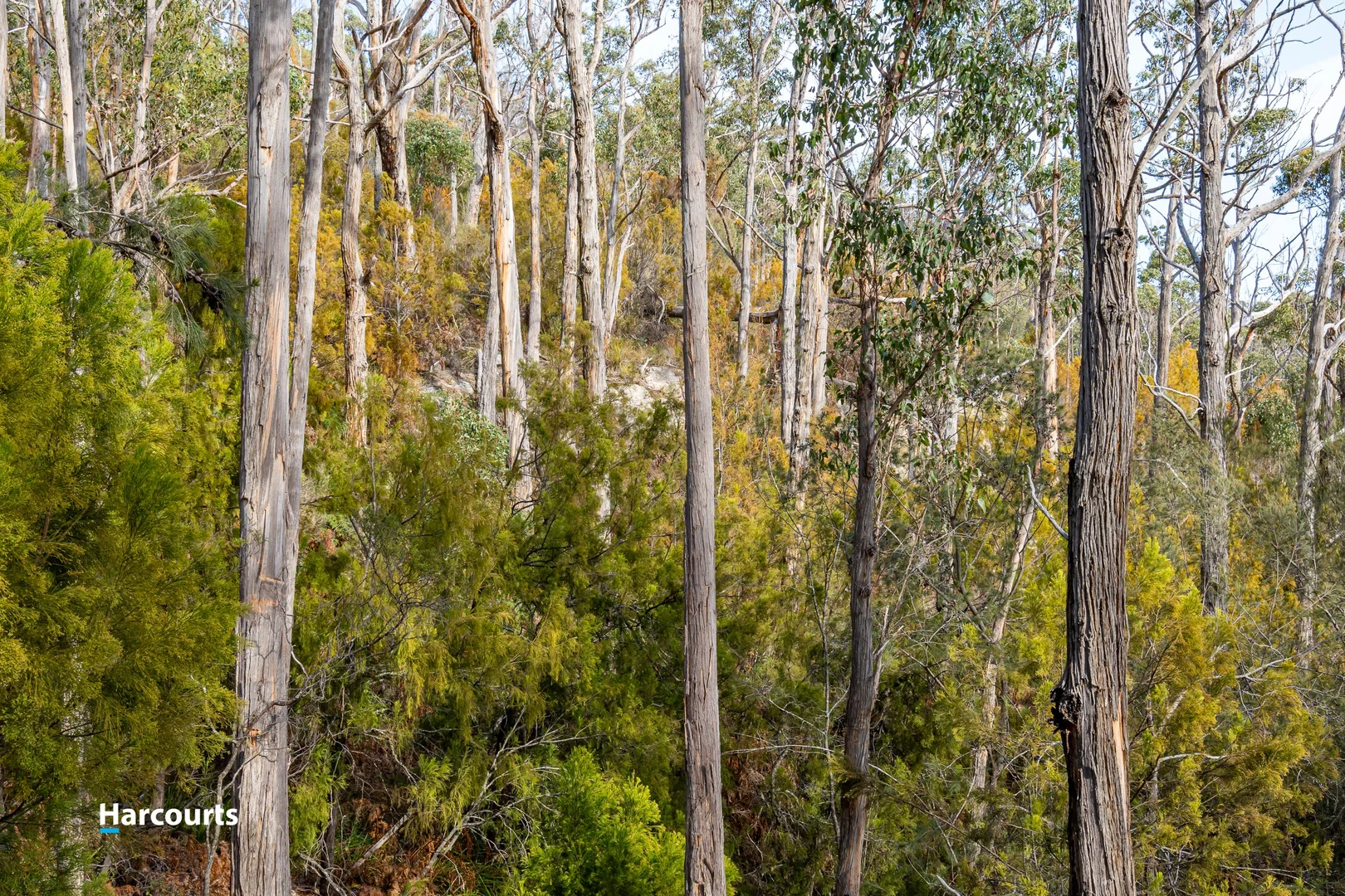 Additional image 16 of 44 Klasen Road, Police Point TAS 7116