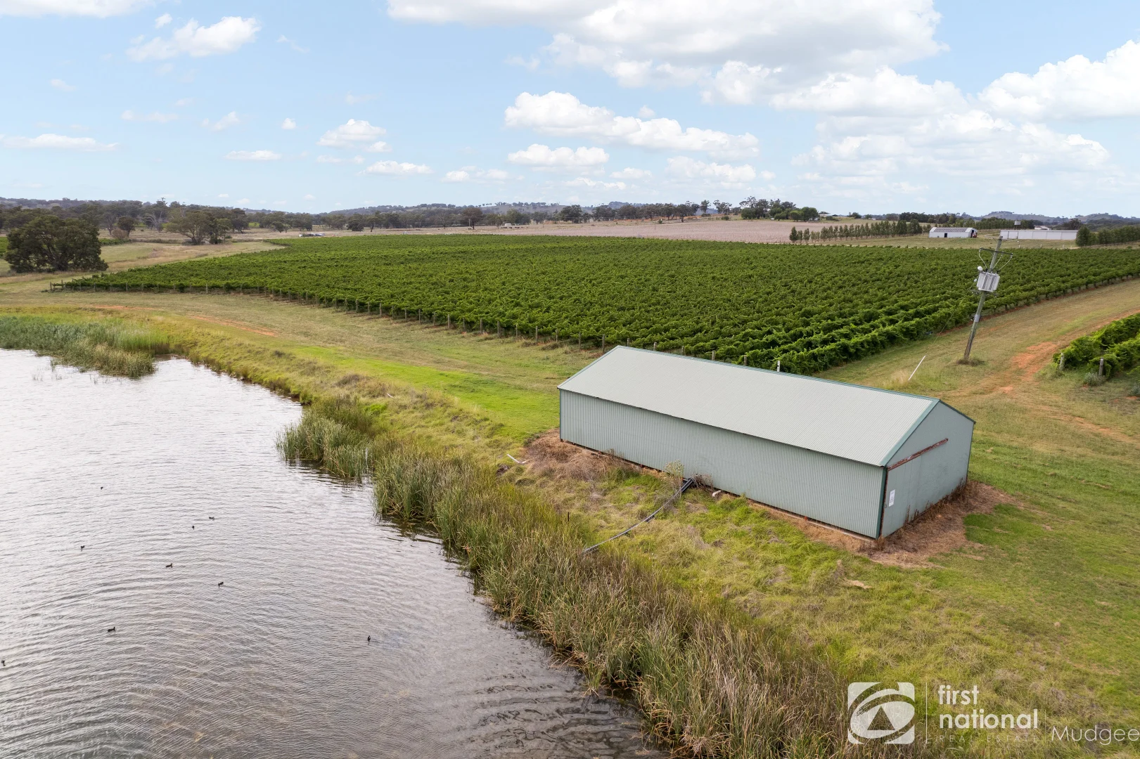 Additional image 7 of 46 Shiraz Drive, Gulgong NSW 2852