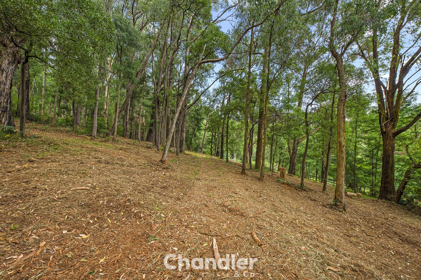 Additional image 7 of 75 Priors Road, The Patch VIC 3792