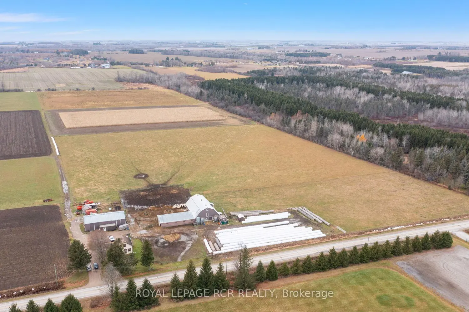 Additional image 2 of 553456 Mono Amaranth Townline