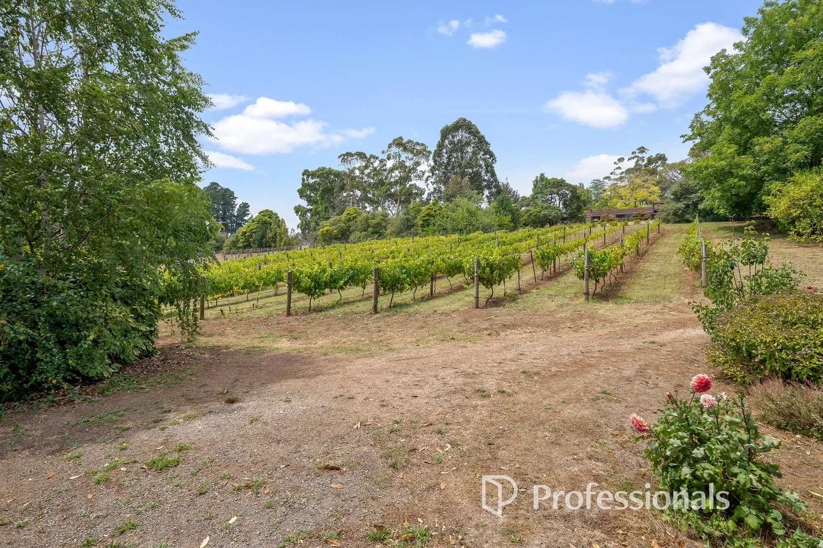 Additional image 25 of 71 Beenak Road, Wandin North VIC 3139