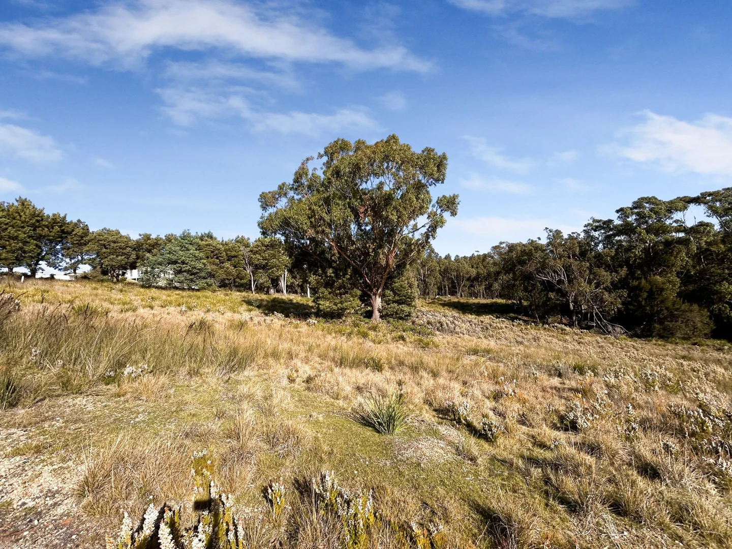 Additional image 10 of 35a Falmouth Street, St Helens TAS 7216