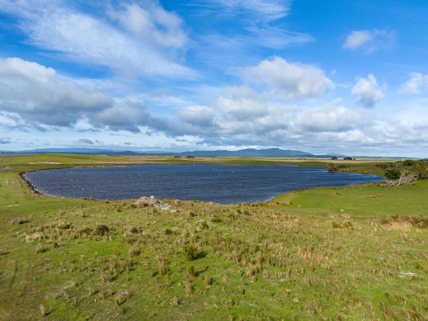 Additional image 5 of Rushy Lagoon TAS 7264