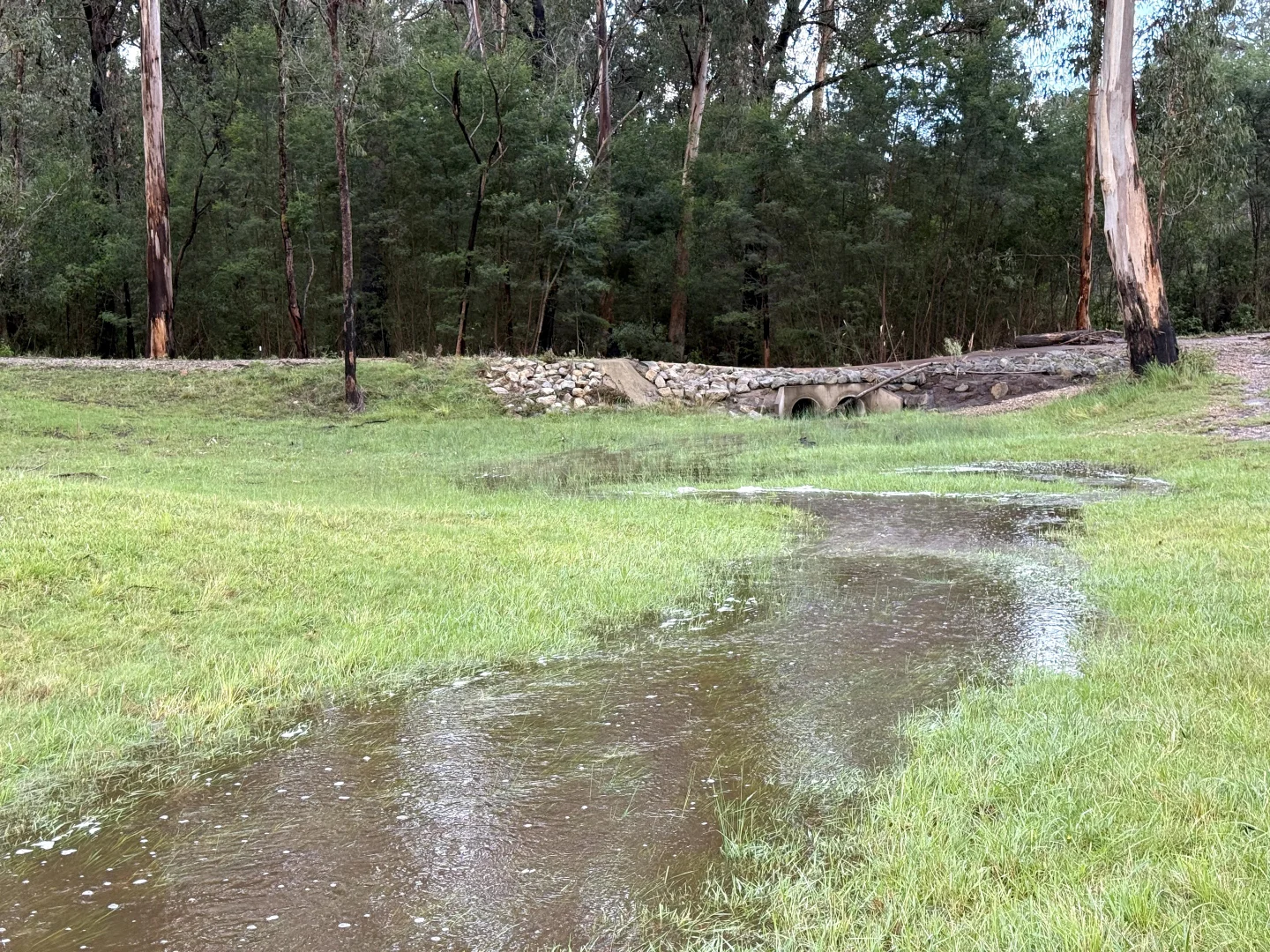 Additional image 10 of 38 Yarran Rd, Boydtown NSW 2551