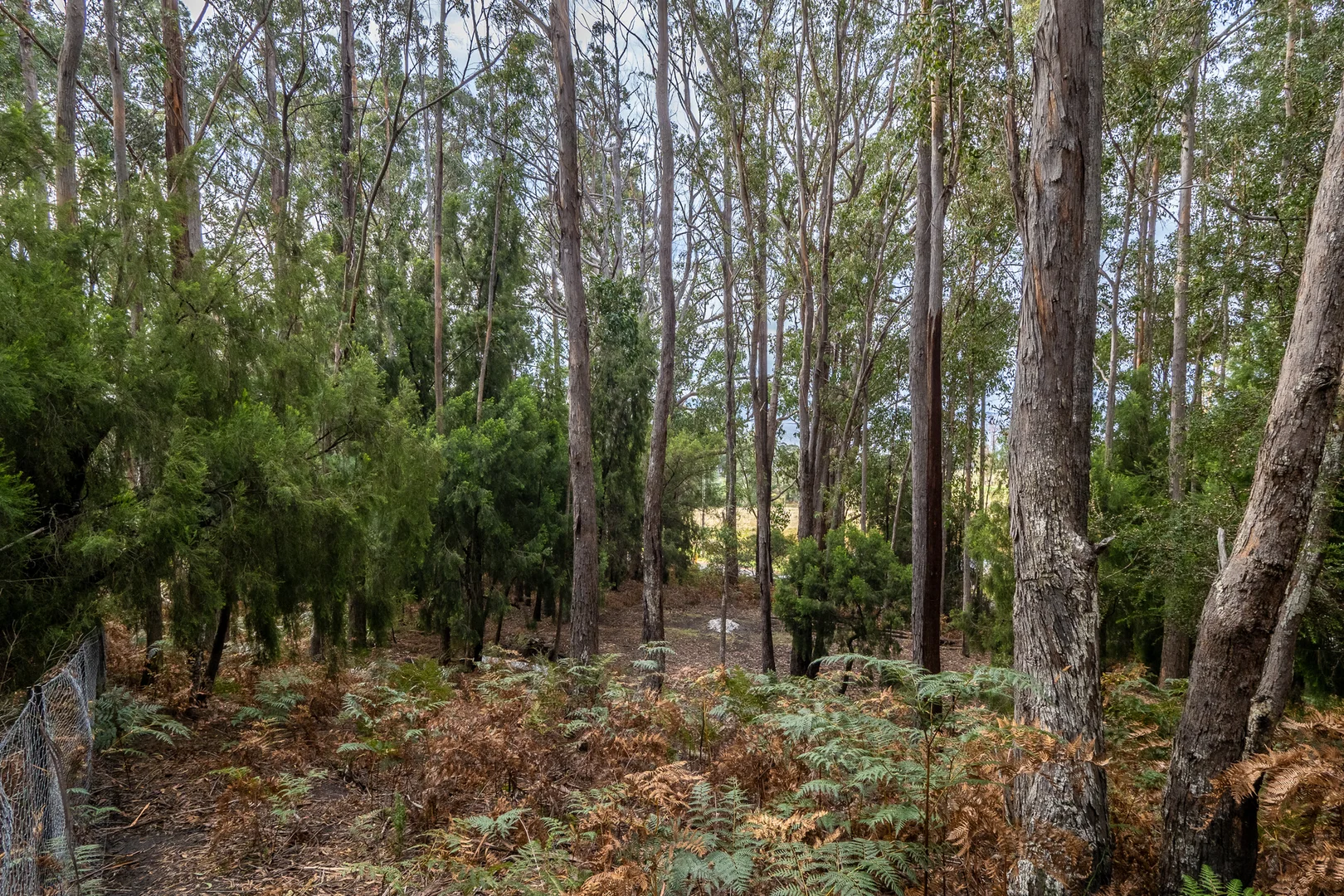 Additional image 14 of Channel Highway, Flowerpot TAS 7163