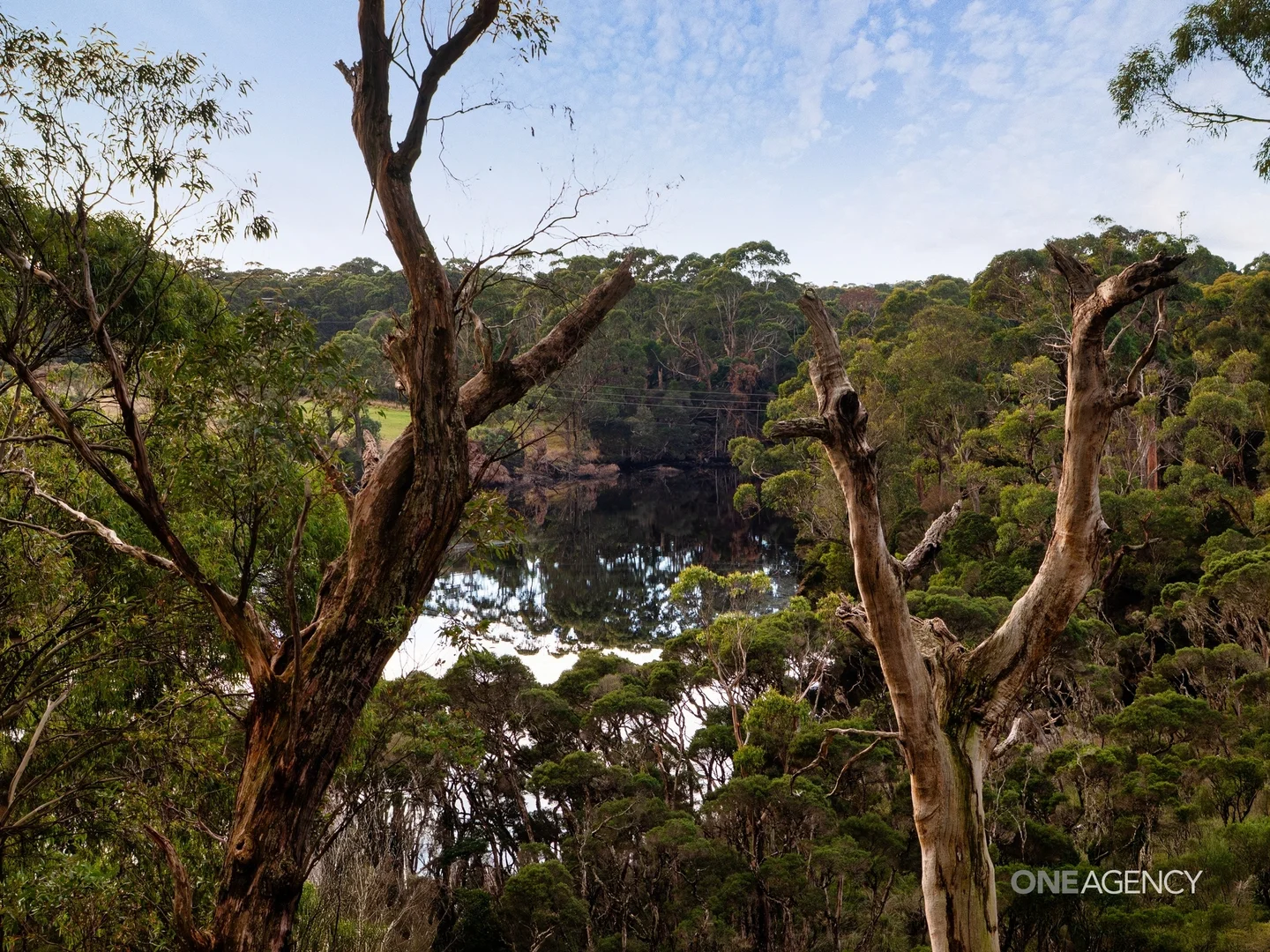 Additional image 12 of Lot 1 Boyndey Road, Black River TAS 7321