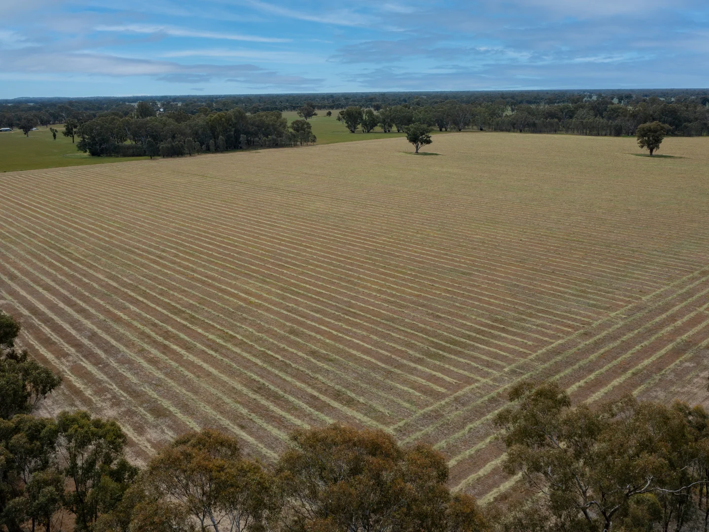 Additional image 8 of 740 Boland Road, Boorhaman VIC 3678