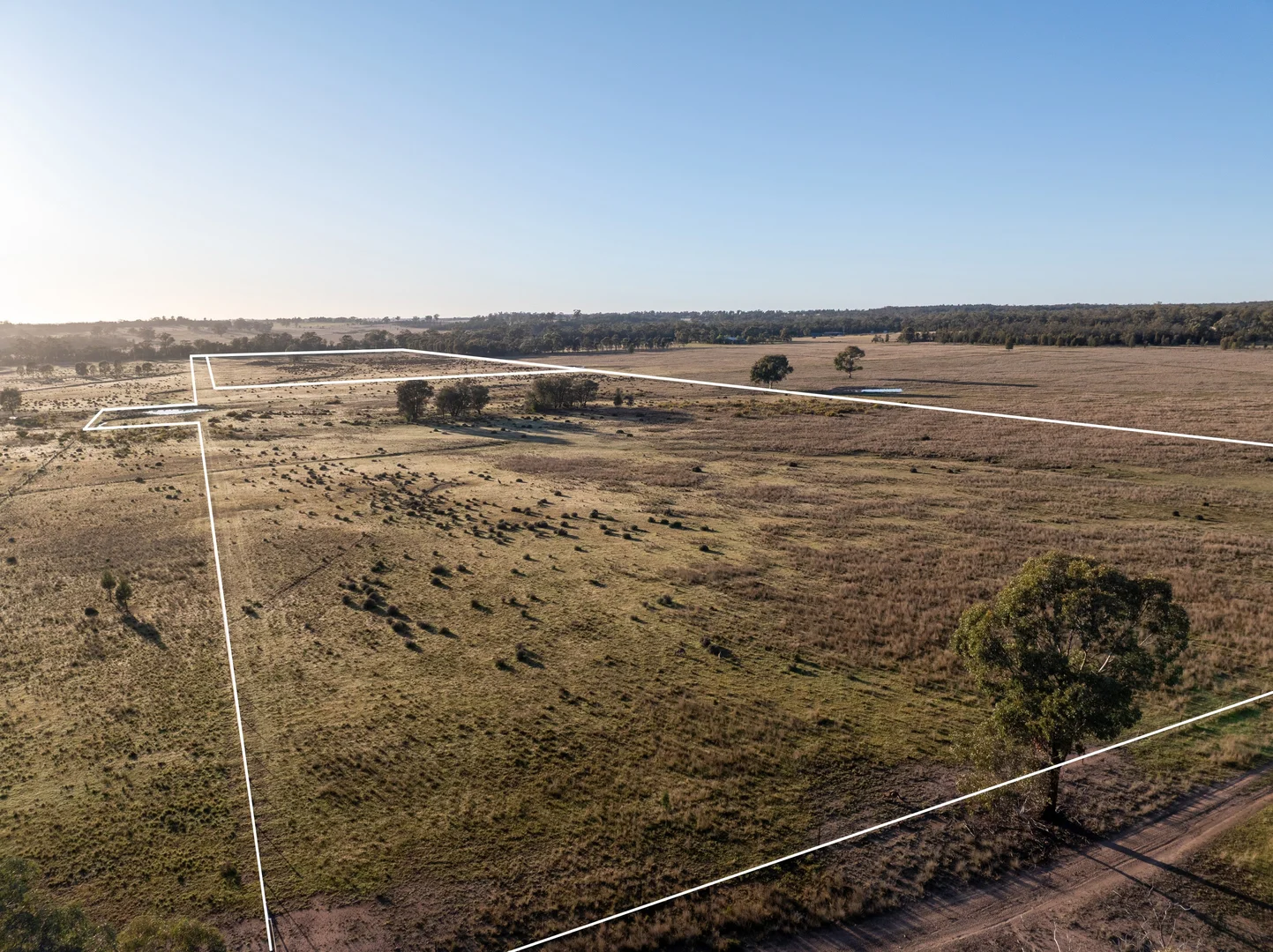 Additional image 3 of Lagoon Creek Road, Minore NSW 2830