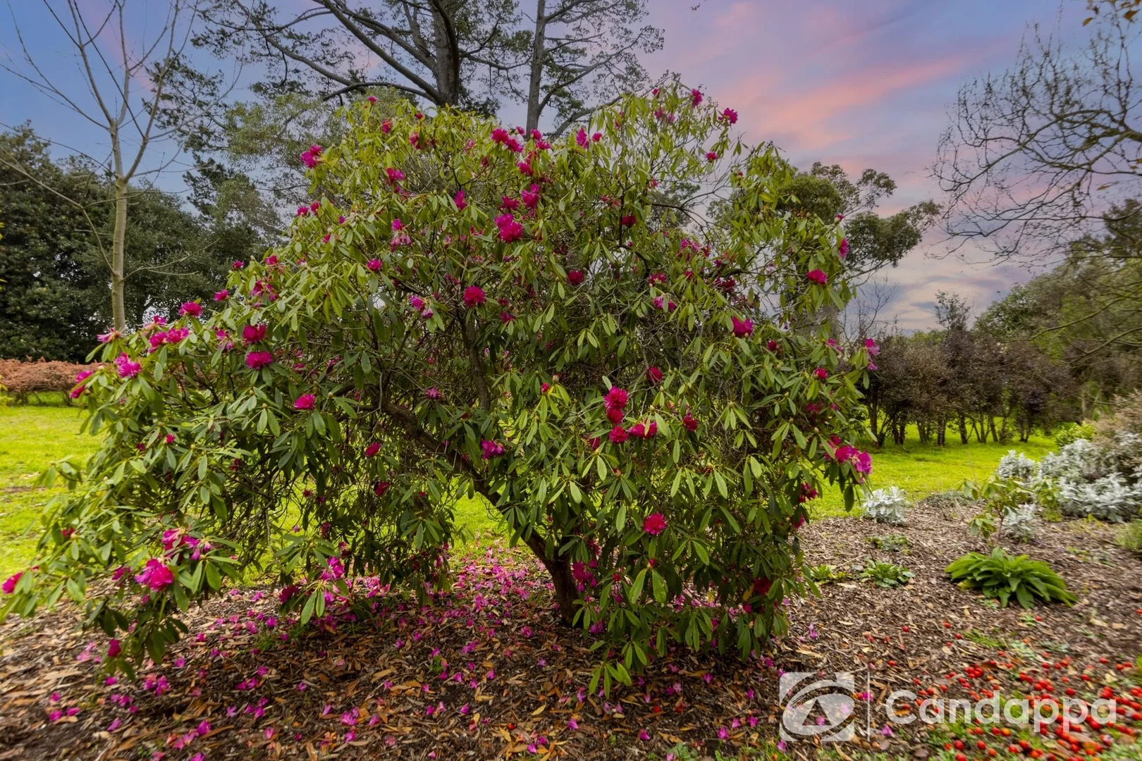 Additional image 8 of 18 Main Neerim Road, Drouin VIC 3818