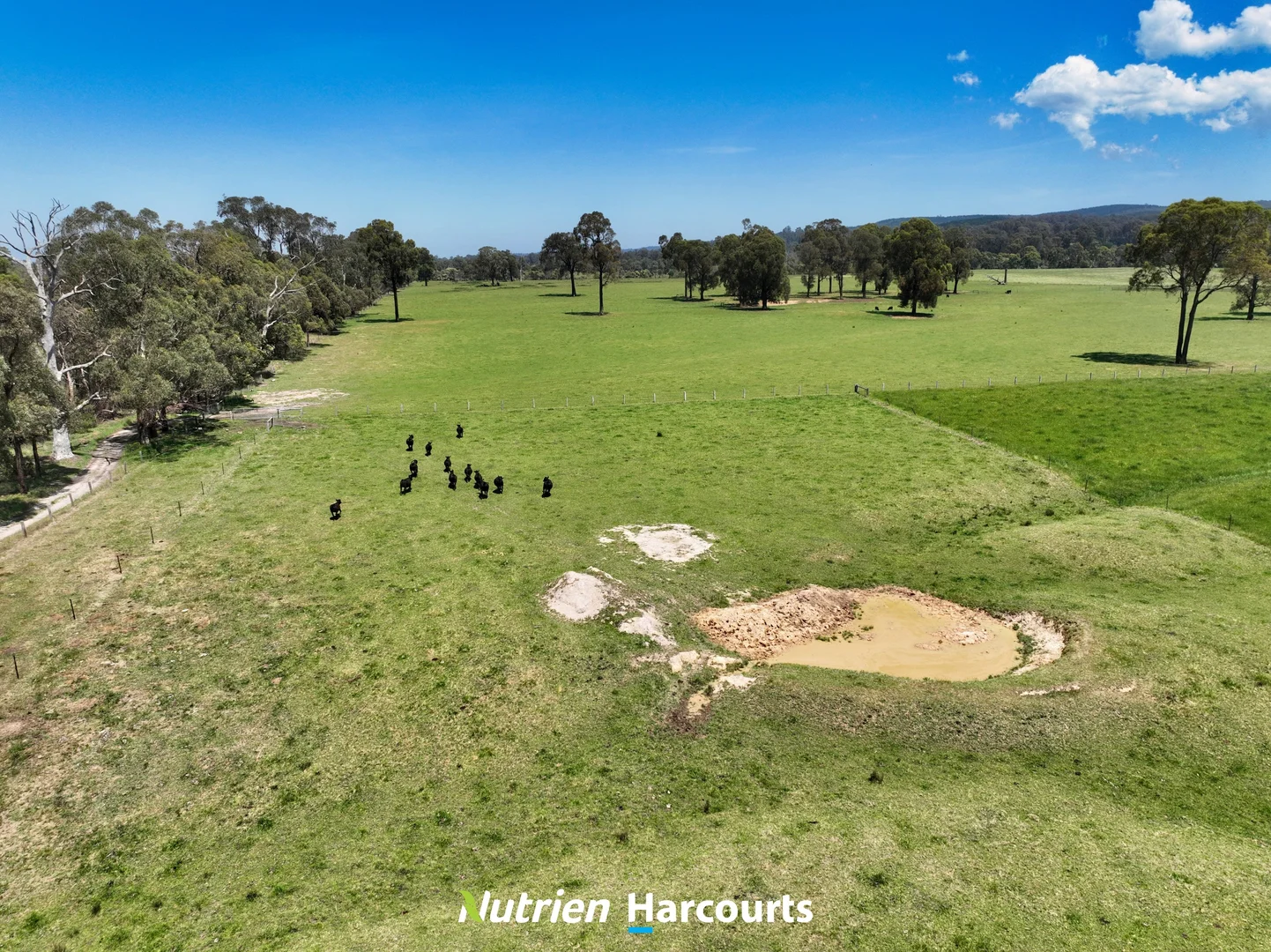 Additional image 6 of 111 Old Walhalla Road, Toongabbie VIC 3856