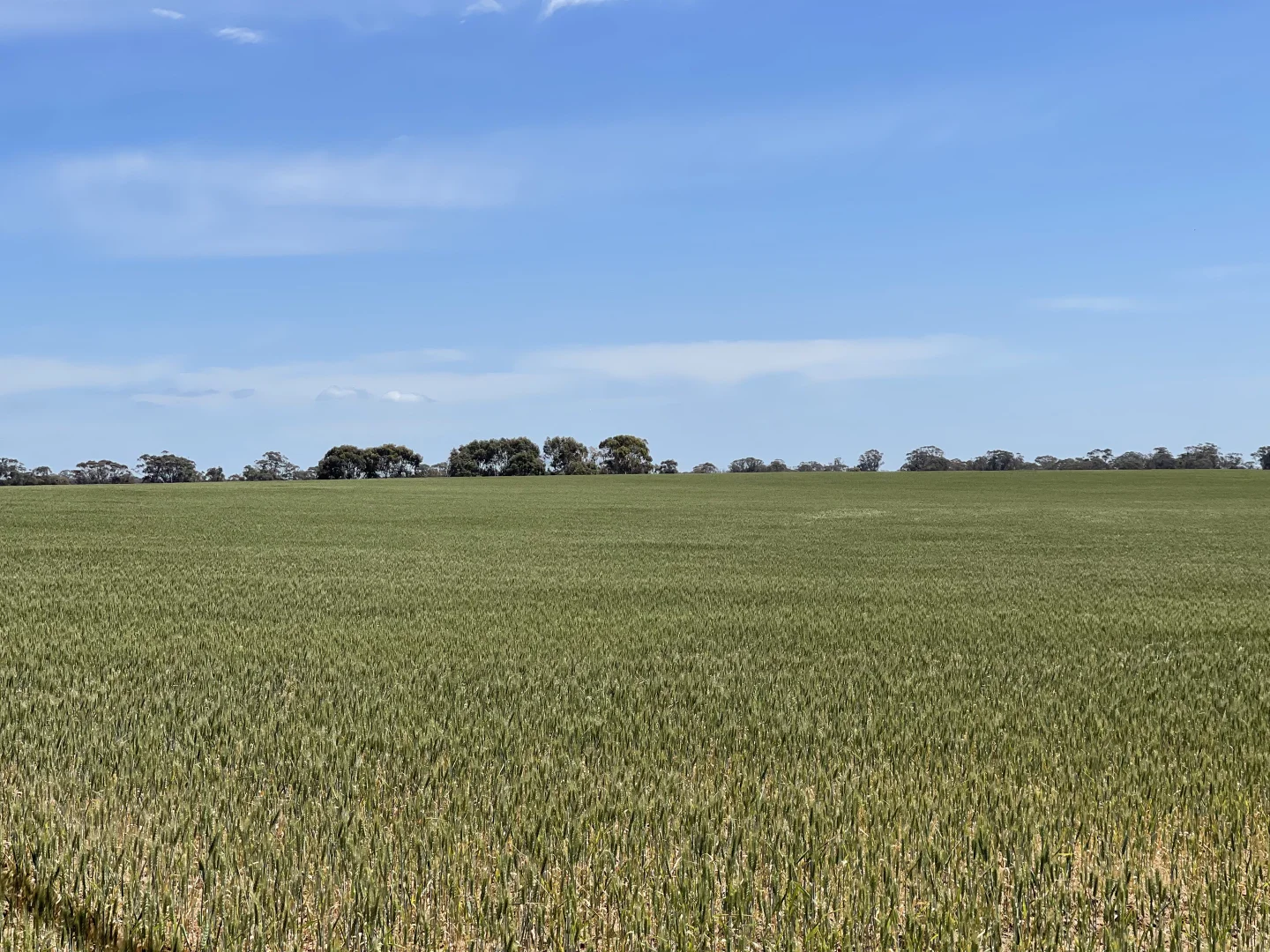 Additional image 20 of 0 Mathison Road, Gre Gre South VIC 3477