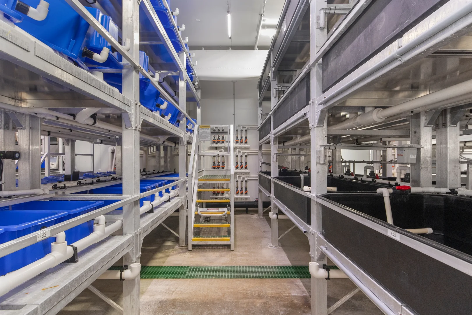 Additional image 6 of 43052 Bruce Highway, Clemant QLD 4816