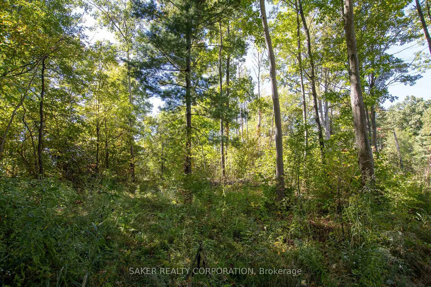 Additional image 11 of 22480 Troops Road