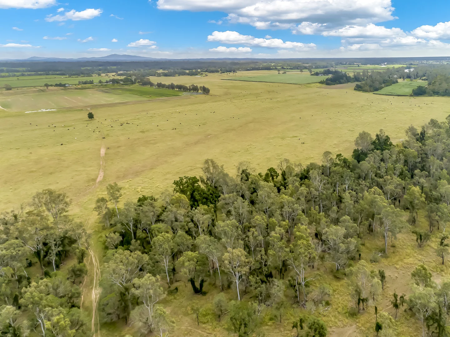 Additional image 5 of 1670 Rosedale Road, Avondale QLD 4670