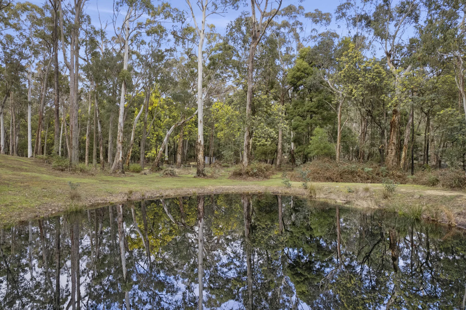 Additional image 7 of 60 Lightwood Drive, Wheatsheaf VIC 3461