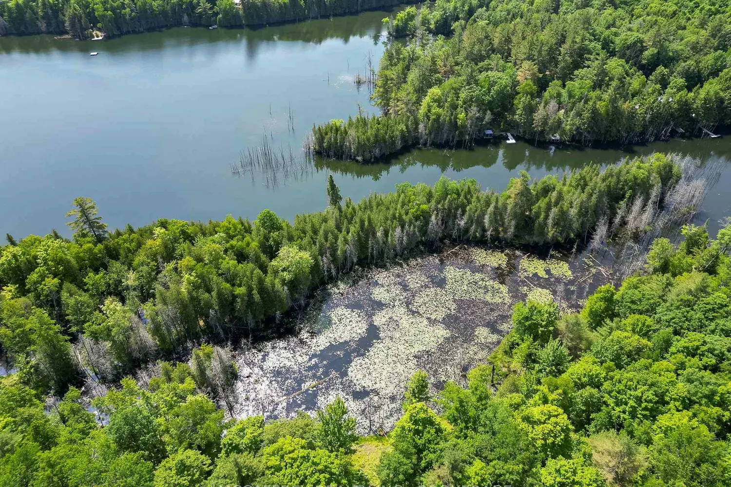 Additional image 6 of Pt Lt 4 Con 7 Kaladar County Rd 41 Road