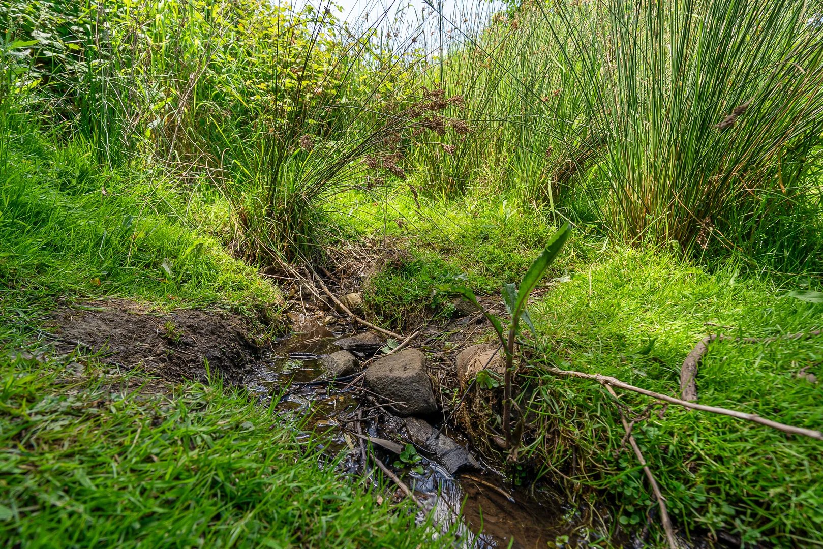 Additional image 24 of 106 Castle Forbes Road, Castle Forbes Bay TAS 7116
