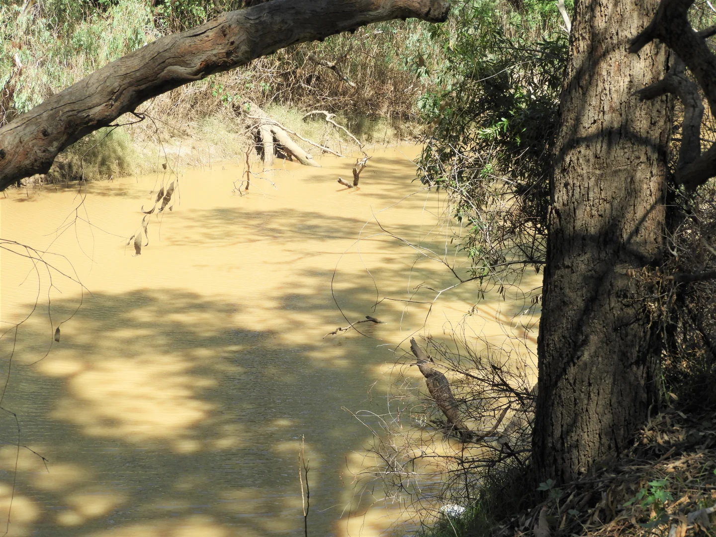 Additional image 7 of 45 Hilton Lane, Warren NSW 2824