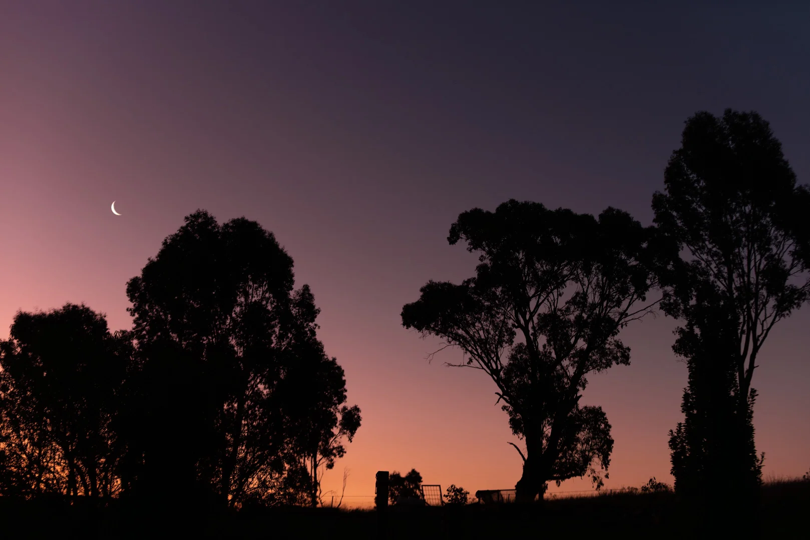 Additional image 4 of Lot 7 Wynyard Hill, Springvale NSW 2650