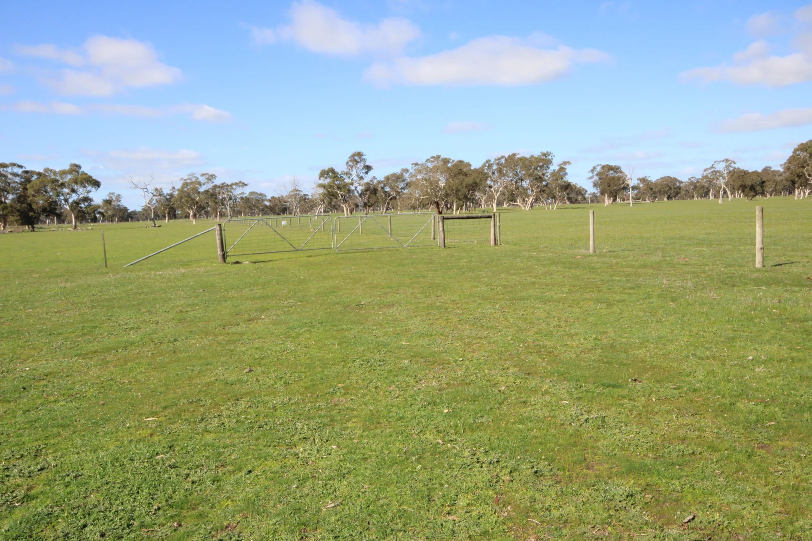 Additional image 26 of 202 Malones Road, Naracoorte SA 5271
