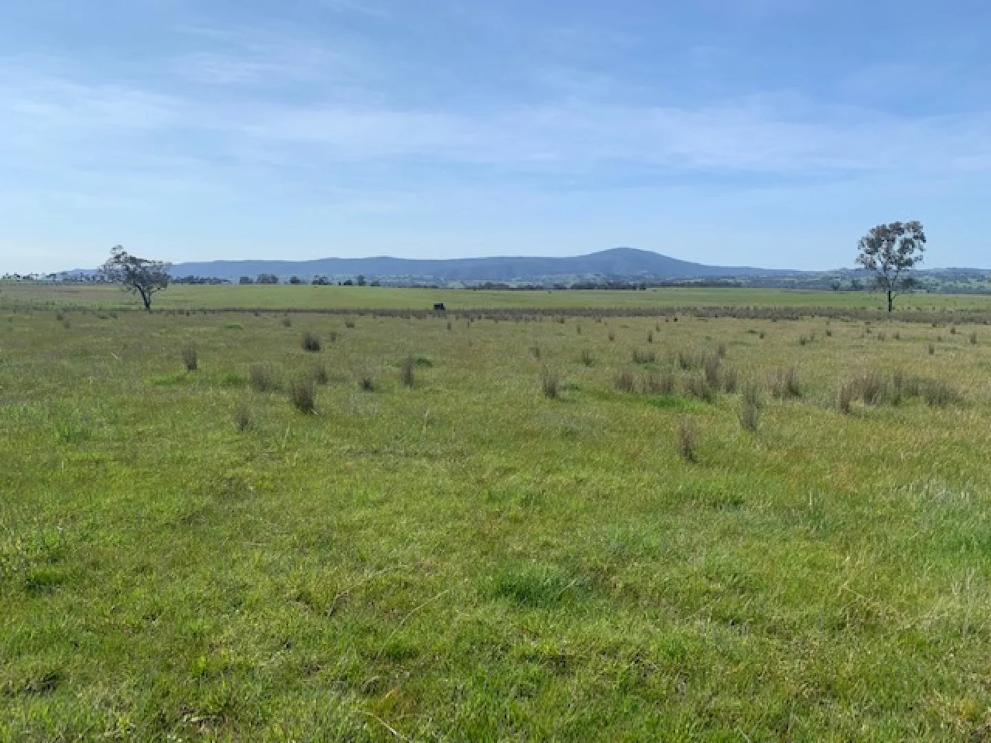 Additional image 9 of 105 Broadford Glenaroua Road, Broadford VIC 3658