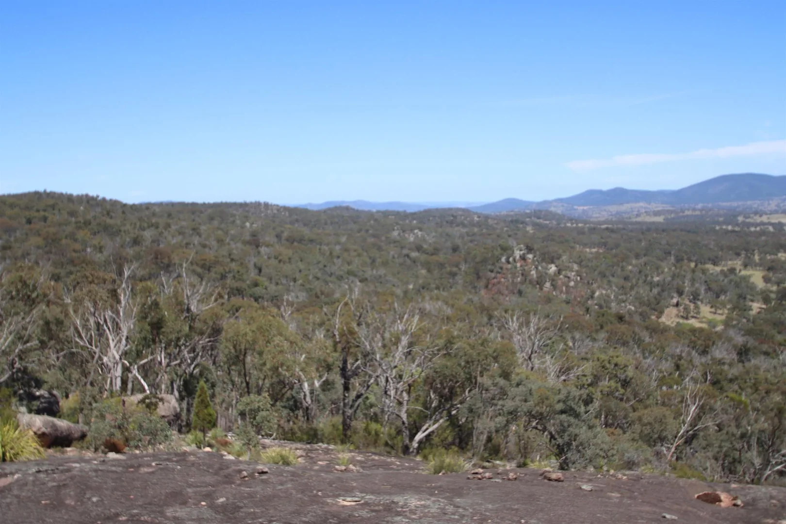 Additional image 19 of Lot 1 Brusharbers Road, Tenterfield NSW 2372