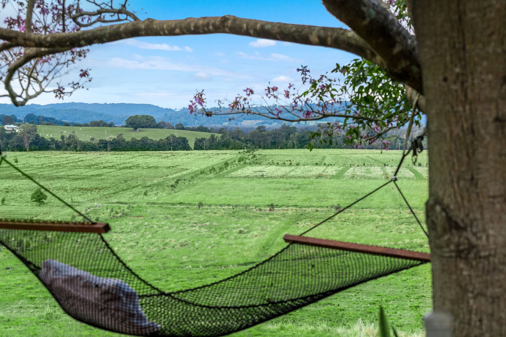 Additional image 59 of 1368 Wyrallah road, Tucki Tucki NSW 2480