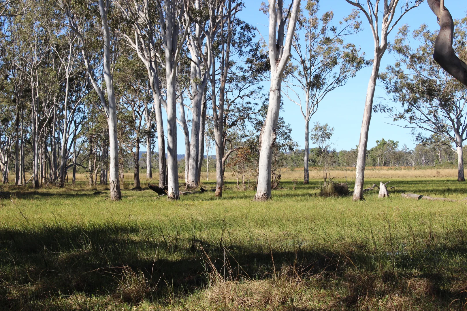 Additional image 2 of Innot Hot Springs QLD 4872