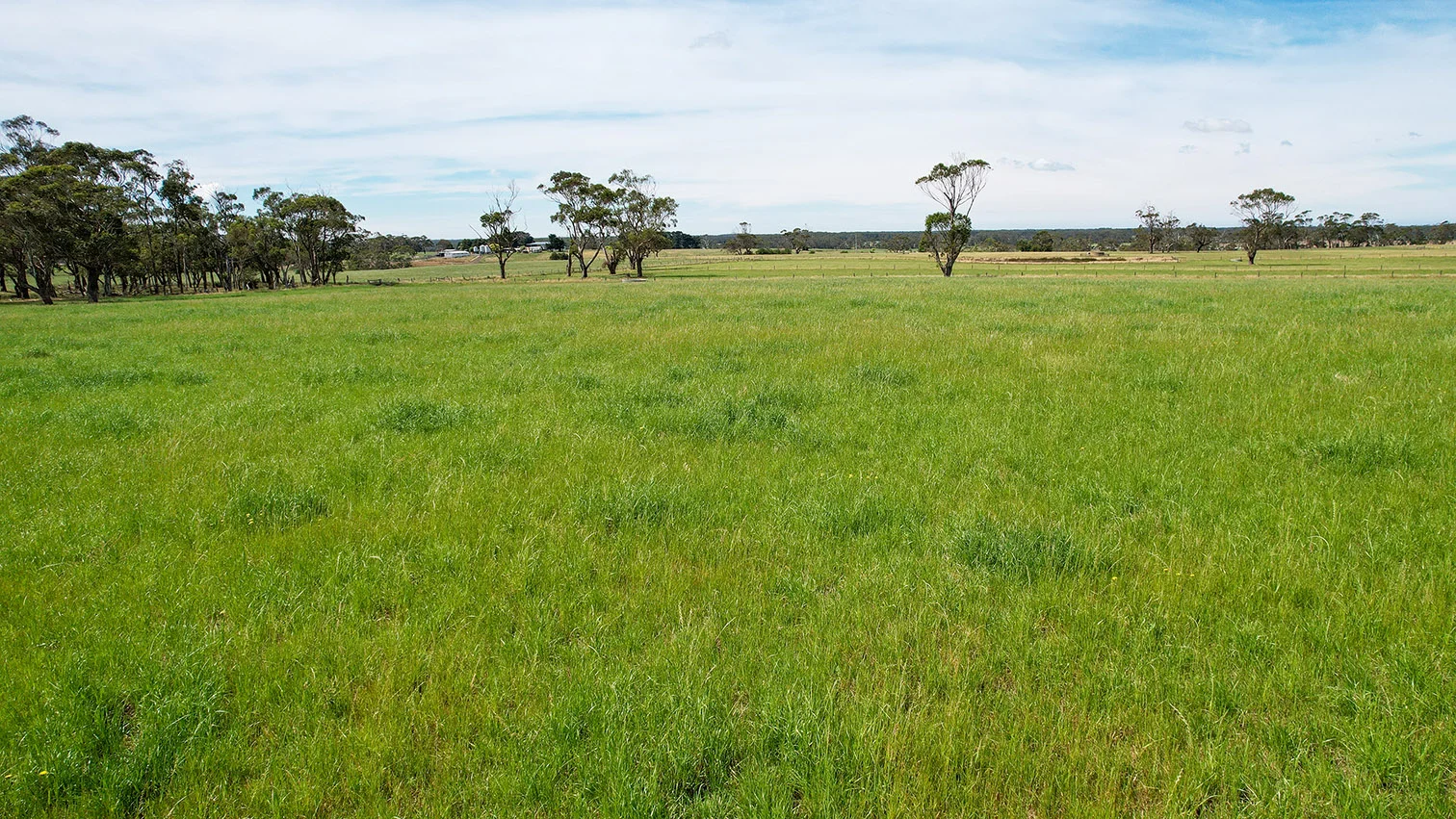 Additional image 15 of 211 Rollos Road, Panmure VIC 3265