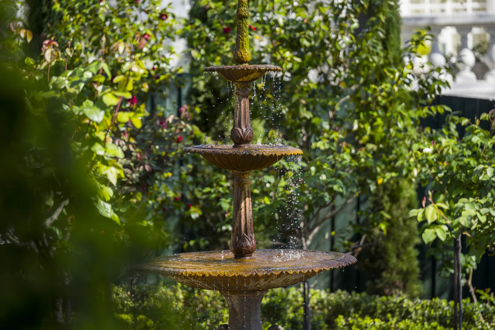 Additional image 25 of 29 Lansell Road, Toorak VIC 3142