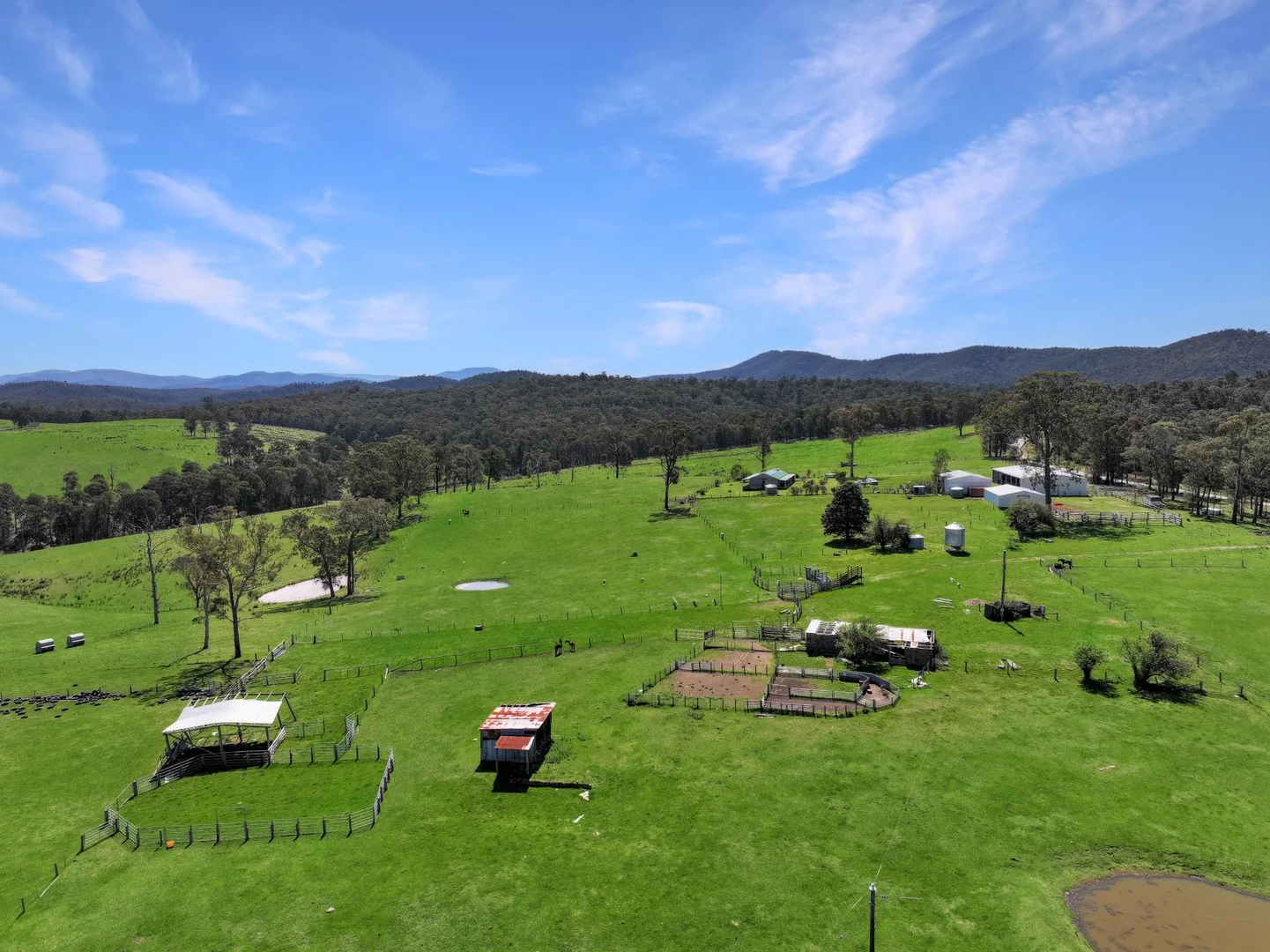 Additional image 21 of 151 Wattle Hill Road, Buchan South VIC 3885