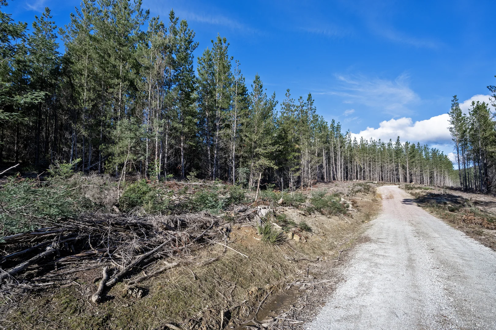 Additional image 9 of . Frankford Road, Harford TAS 7307