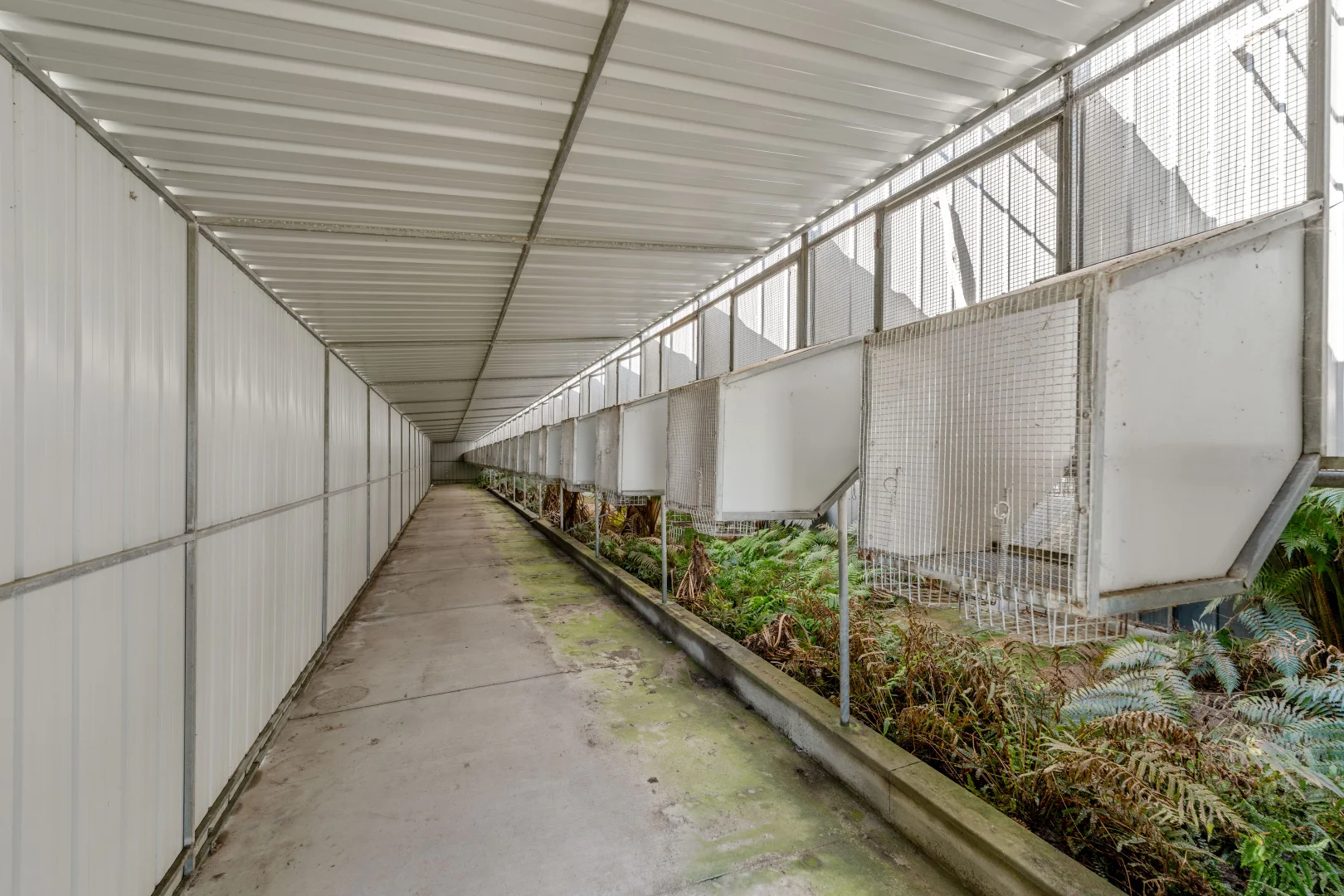 Additional image 24 of 31 Four Mile Lane, Boyland QLD 4275