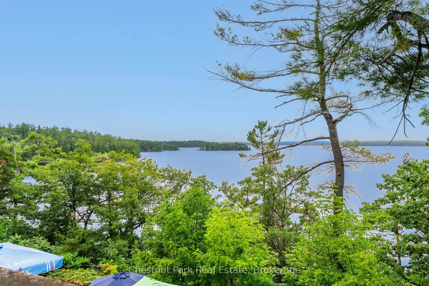 Additional image 2 of 1869 Muskoka Rd 118 Road L203-C1