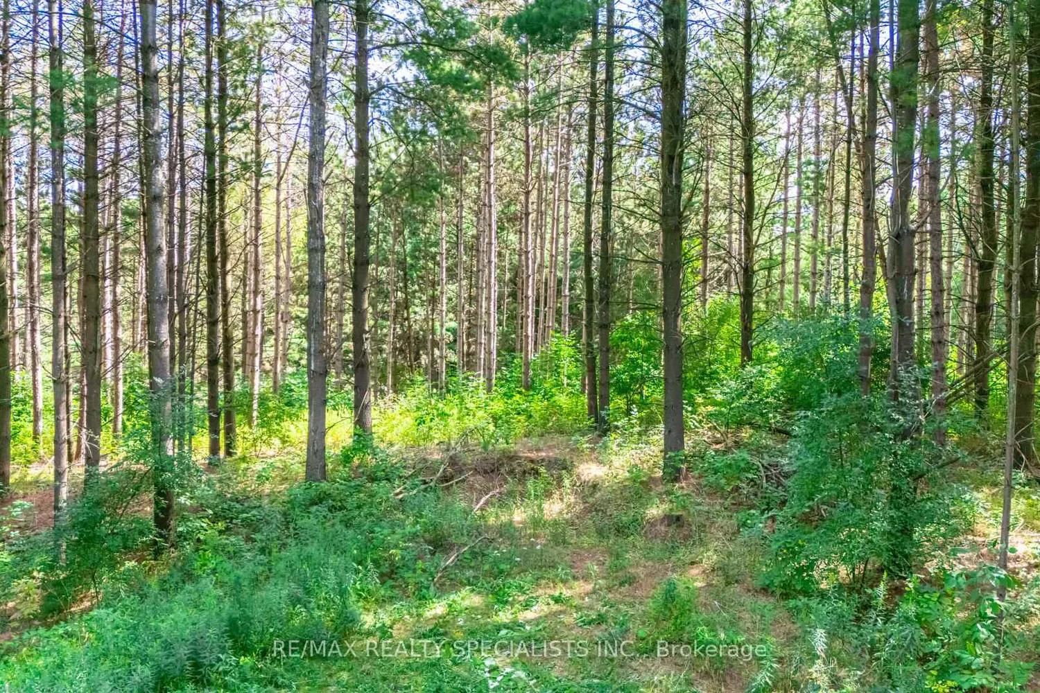 Additional image 15 of 18711 The Gore Road