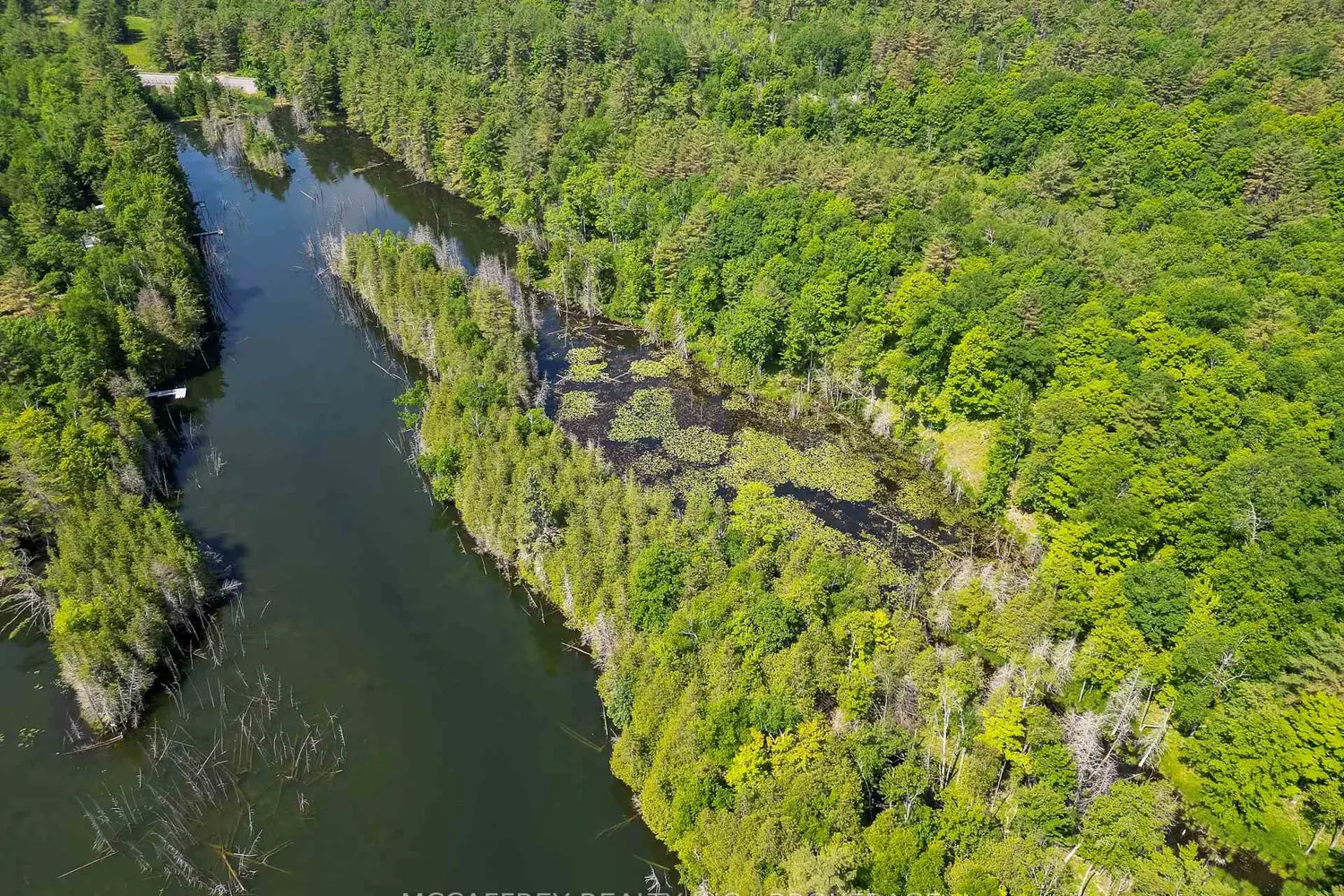 Additional image 10 of Pt Lt 4 Con 7 Kaladar County Rd 41 Road