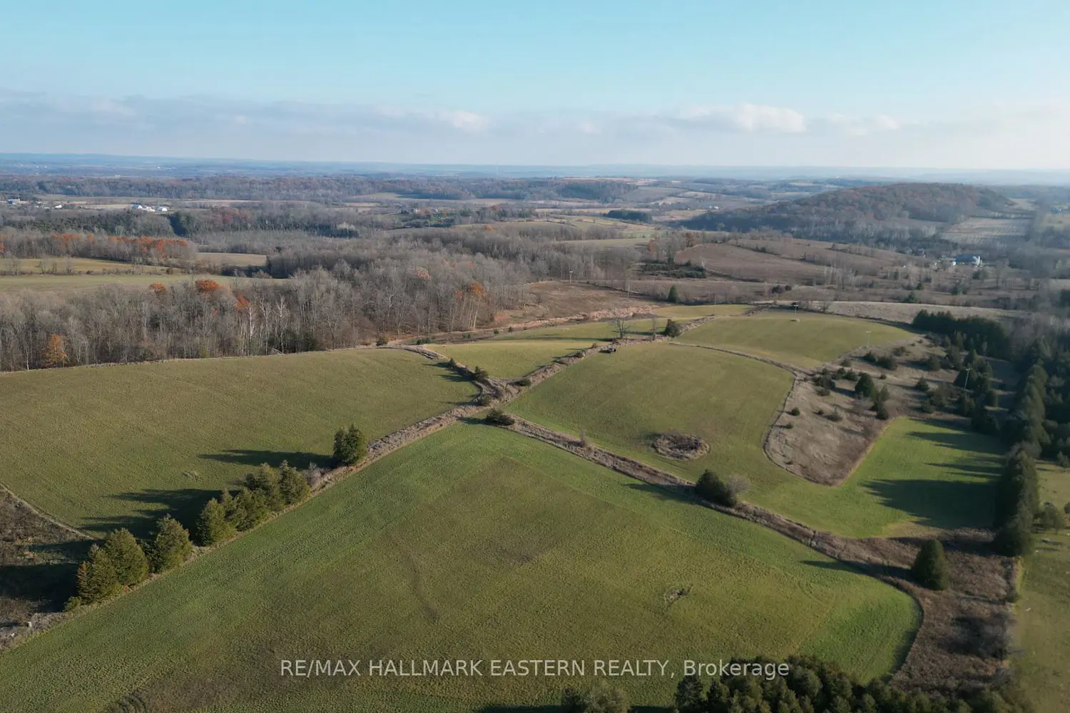 Additional image 15 of 461 Concession 11