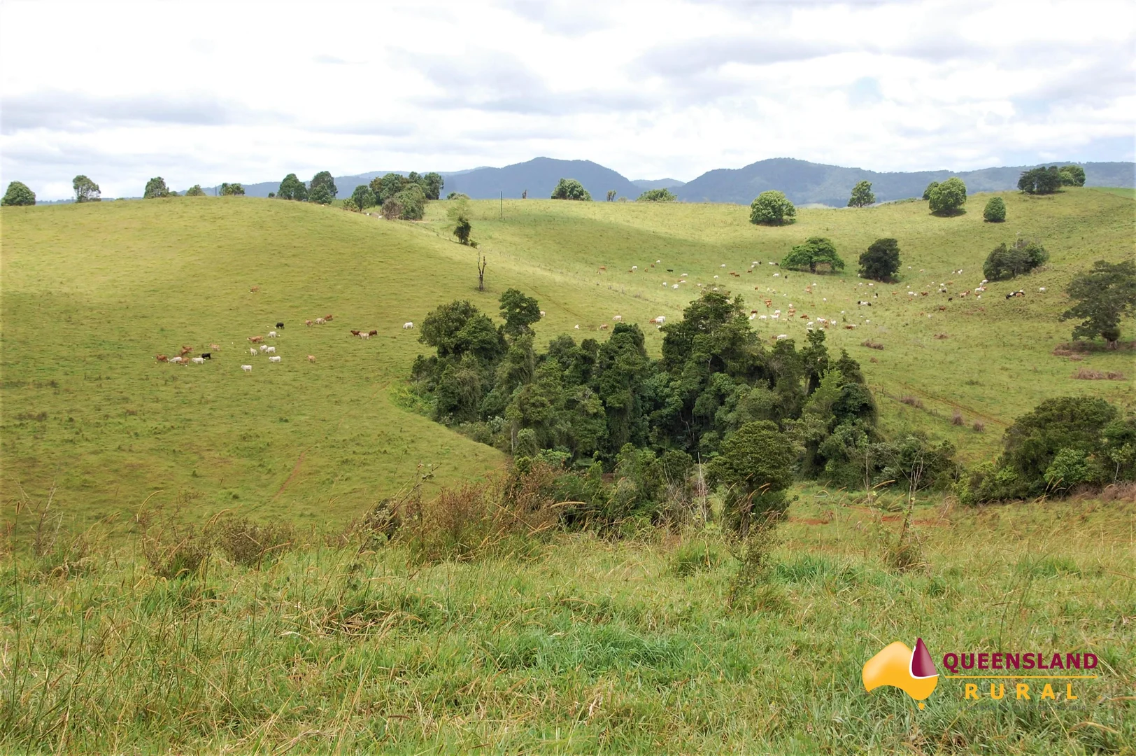 Additional image 5 of Tarzali QLD 4885