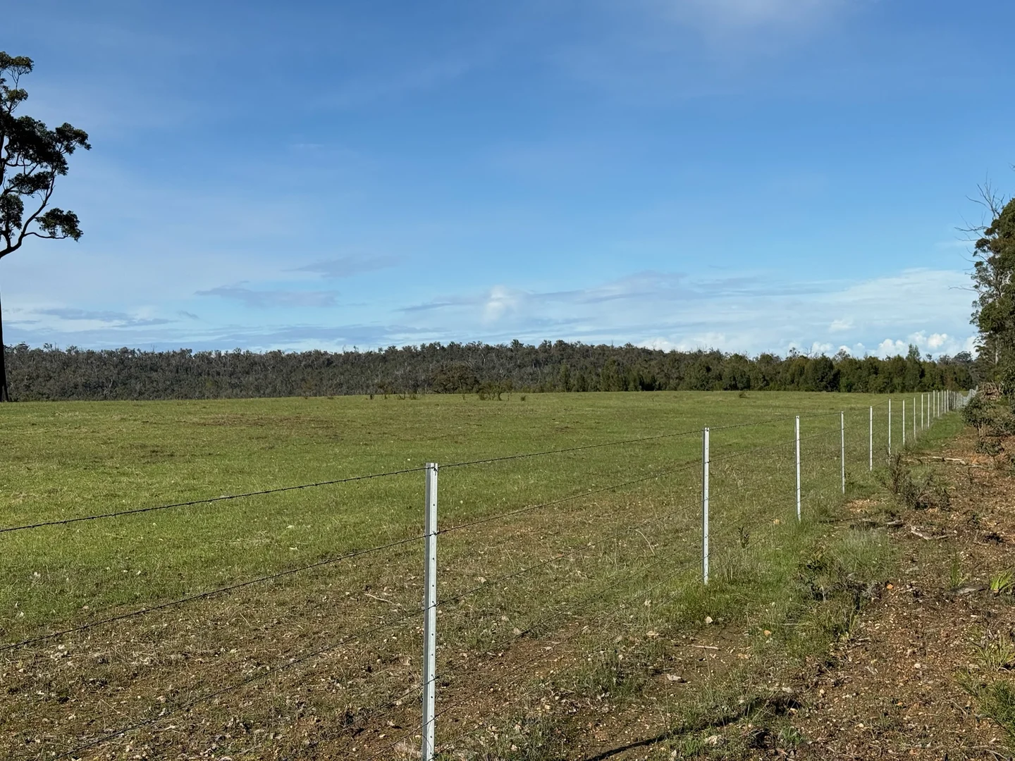 Additional image 17 of 228 Peppermint Grove Road, Middlesex WA 6258