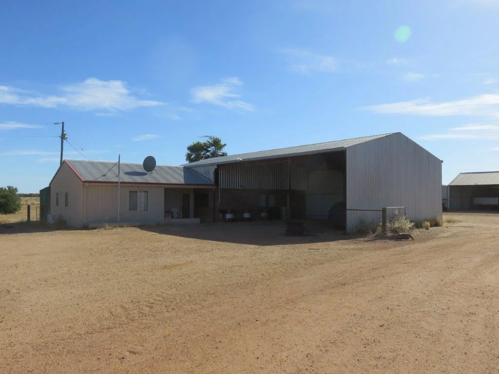 1147 Brand Mudge Road, Eganu WA 6515