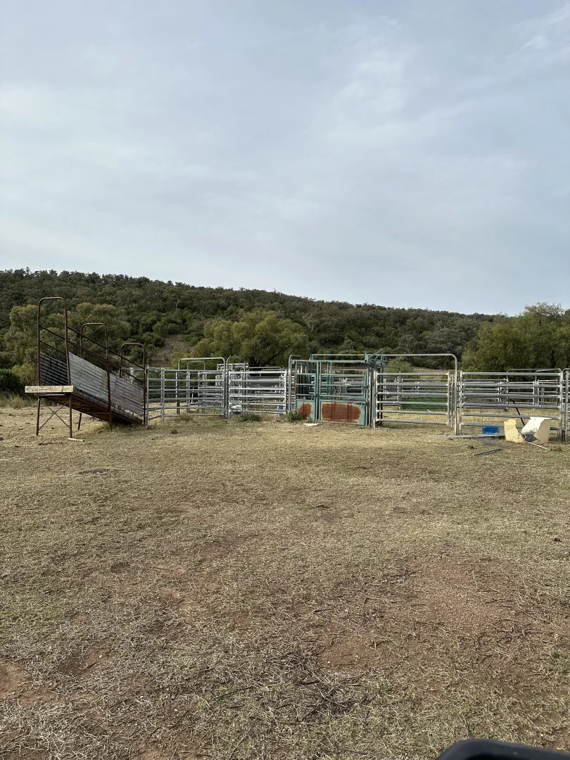 Additional image 14 of 1020 Bramble Rd, Warrumbungle NSW 2828