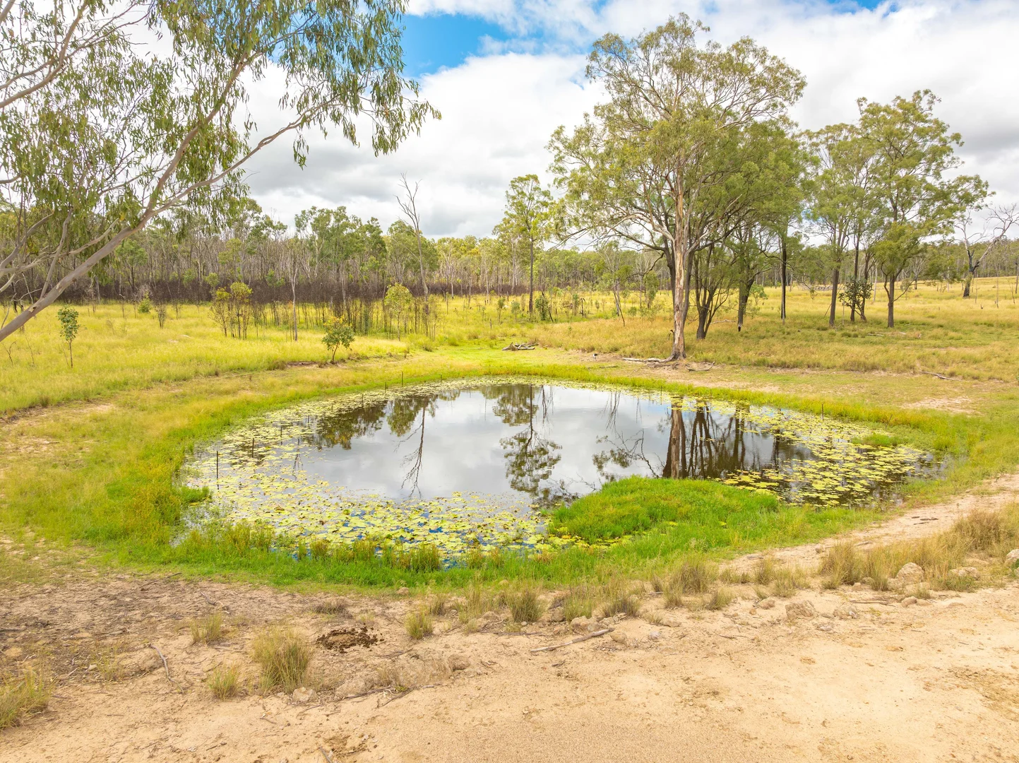 Additional image 28 of 754 Pedersens Road, Dangore QLD 4610