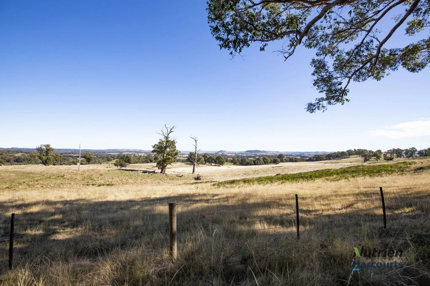 Additional image 5 of Yea VIC 3717