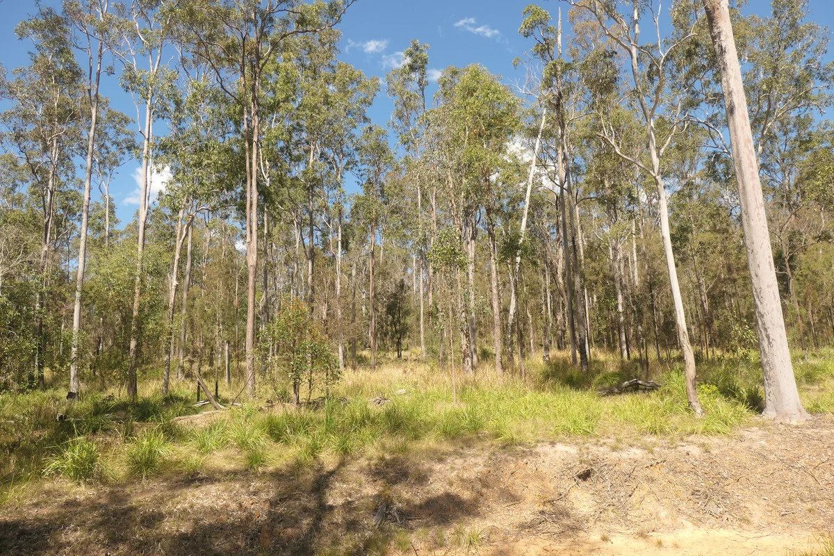 Additional image 25 of Lot 5 Long Gully Road, Drake NSW 2469