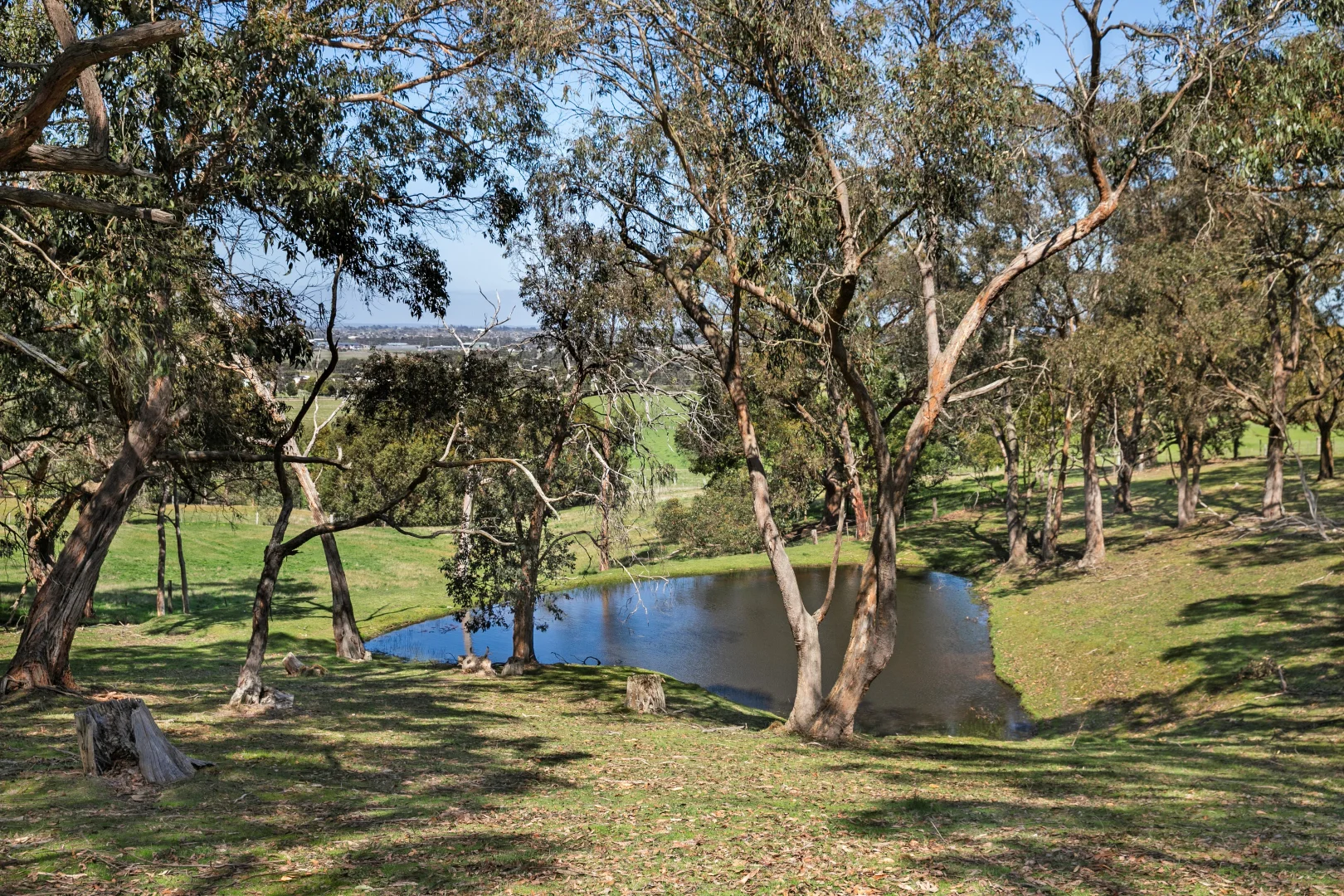 Additional image 25 of 311 Slatey Creek Road North, Invermay VIC 3352