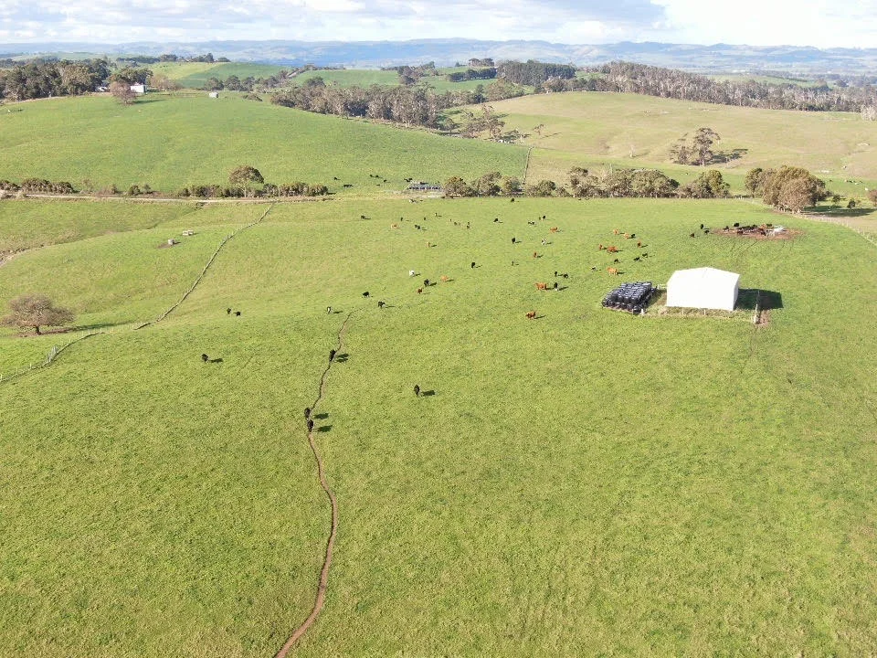 Additional image 11 of 180 Old Koonwarra-Meeniyan Road, Koonwarra VIC 3954