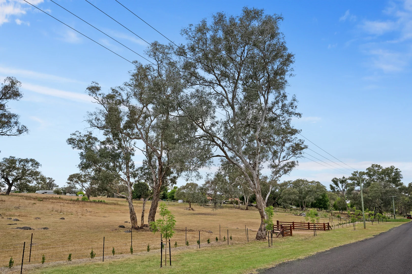 Additional image 12 of 39 Queen Street, Molong NSW 2866